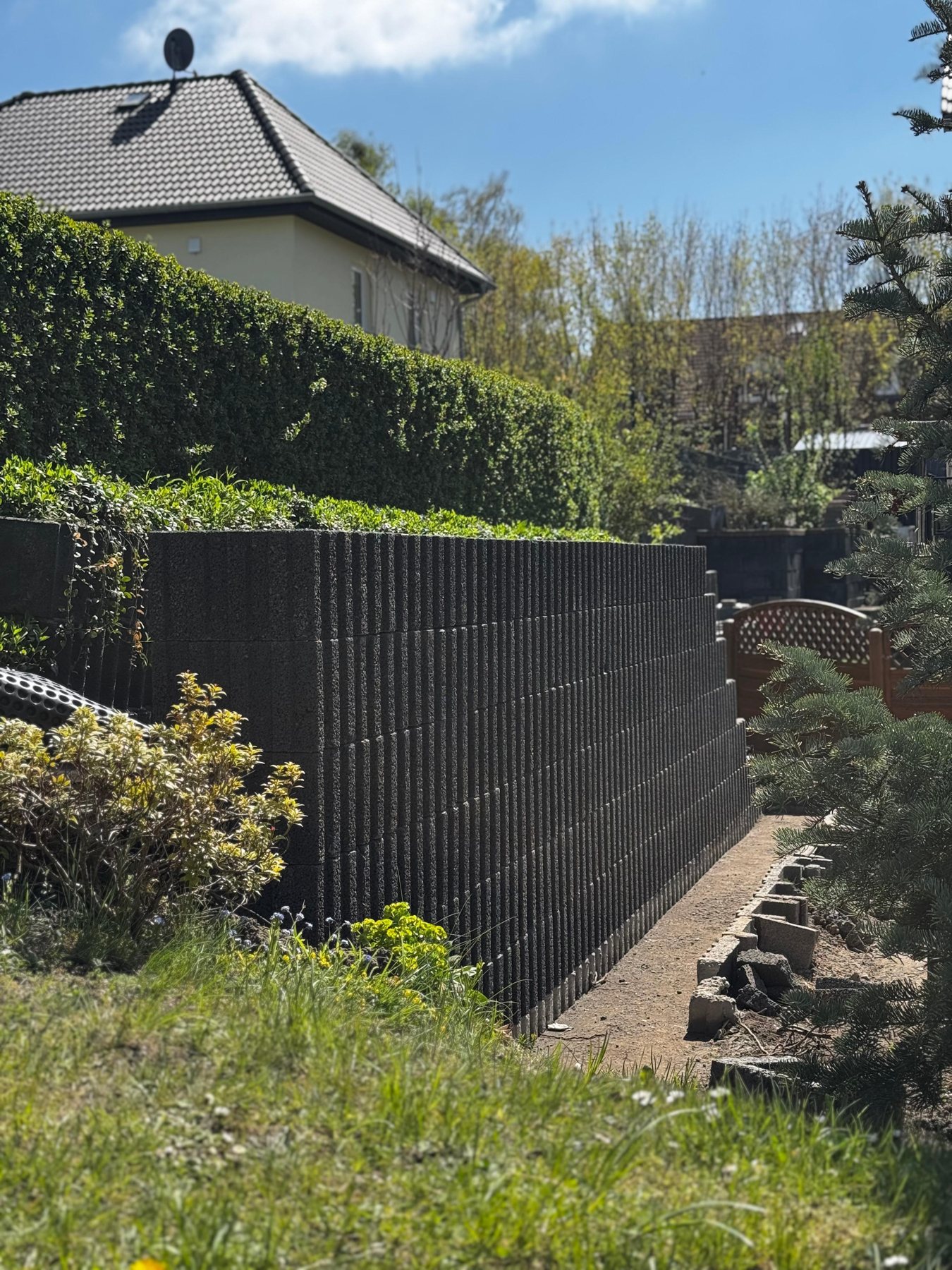 Echtes Kundenprojekt: sauber geschnittene Hecke entlang eines Zauns mit Sichtschutz